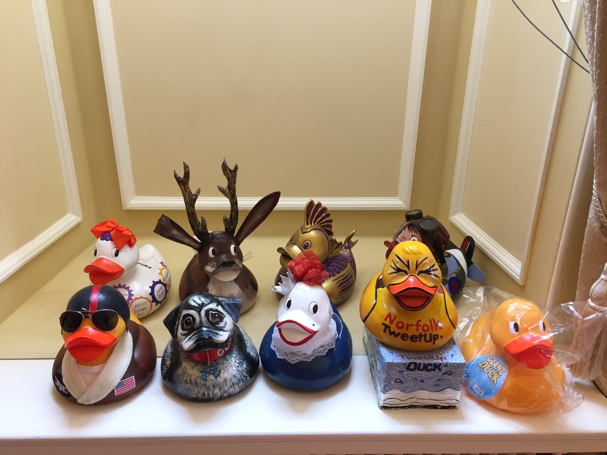 Ducka_Roo's tweet photo. Not long until some of the ducks will be in the water for real racing for @breakwriter! Good luck duckies 🤞🦆 https://t.co/ZxcrkJp7DZ