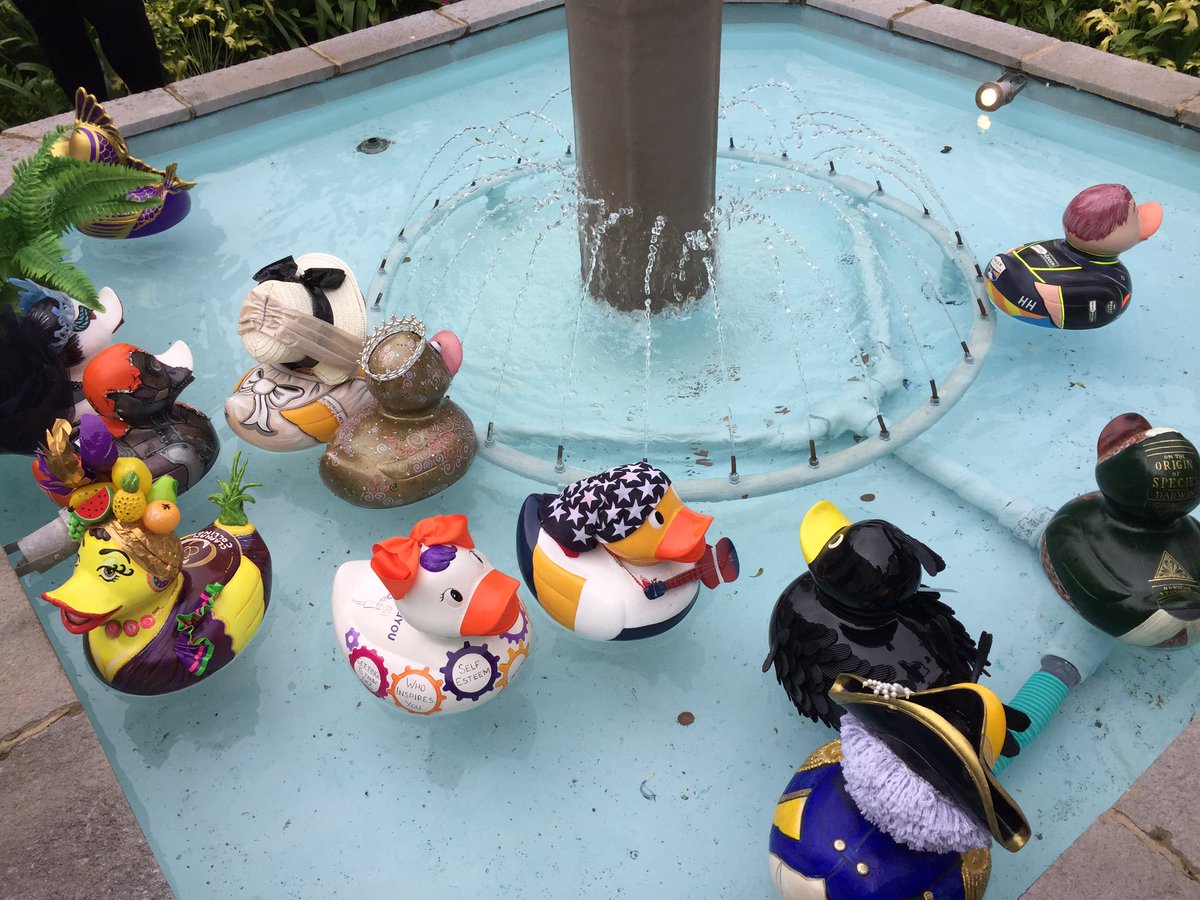 Ducka_Roo's tweet photo. Not long until some of the ducks will be in the water for real racing for @breakwriter! Good luck duckies 🤞🦆 https://t.co/ZxcrkJp7DZ
