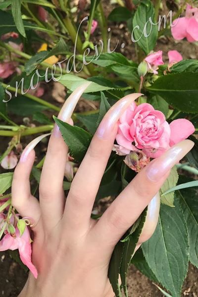 roseshadow07's tweet photo. long nails #nailart #nailfetish https://t.co/AgAtftoBSn https://t.co/VR3cmgWHeO