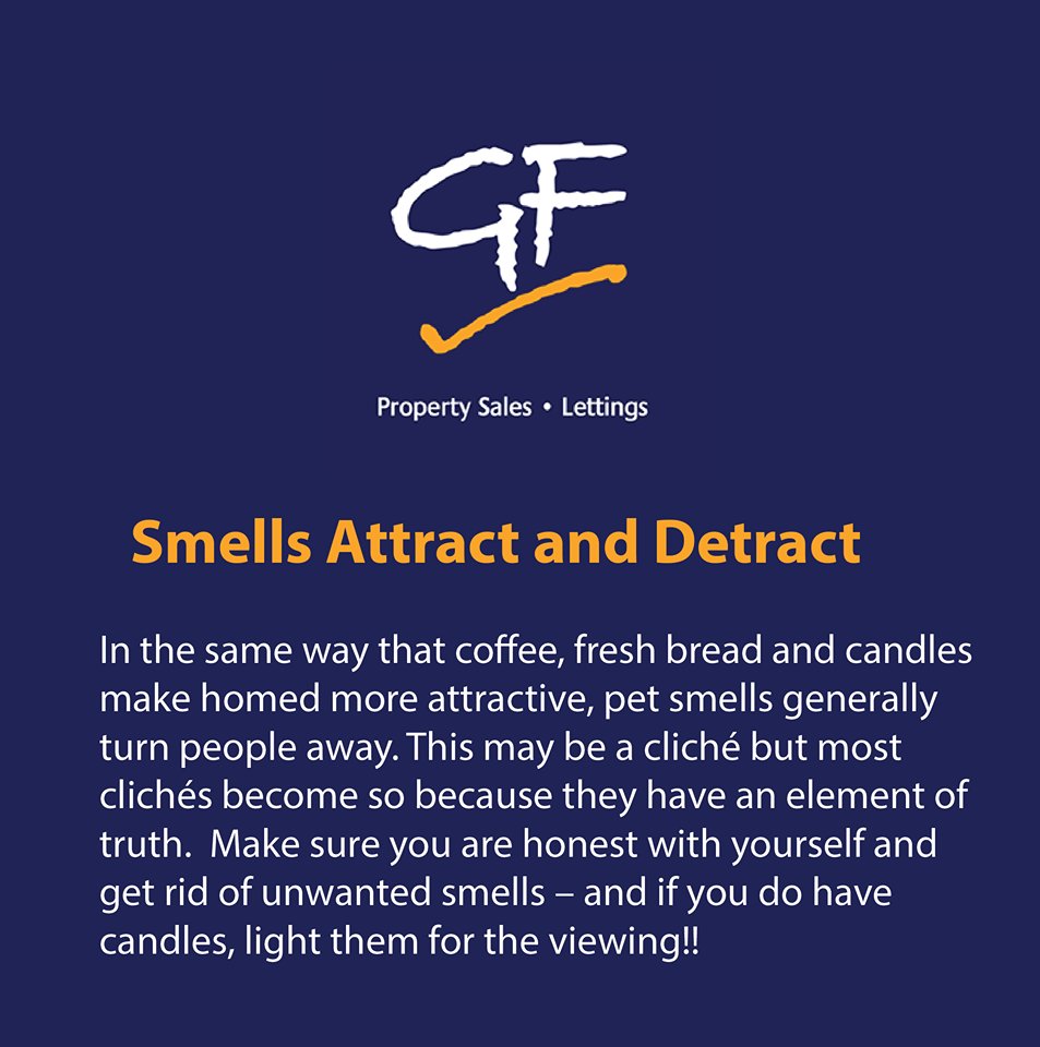 GF Sales & Lettings tweet media