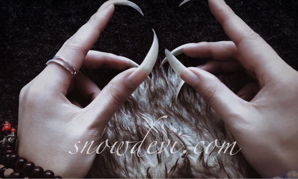 roseshadow07's tweet photo. long nails #nailart #nailfetish https://t.co/AgAtftoBSn https://t.co/iKxNAyZili