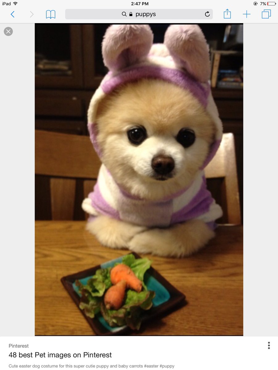 Puppy_Baby00's tweet photo. This is my musically https://t.co/ihzUuknjOR