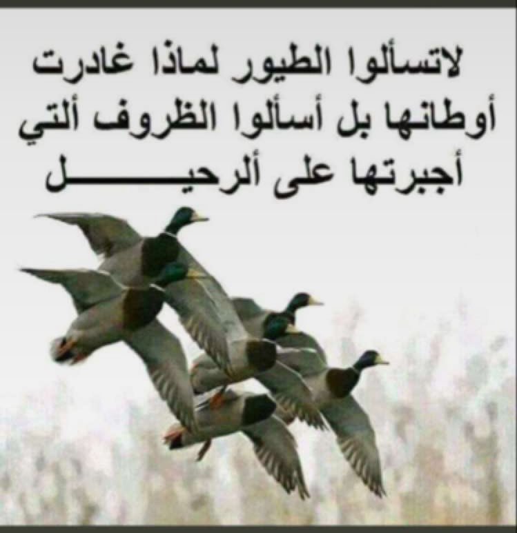 خالد الساعدي (@khalid109876_) on Twitter photo 