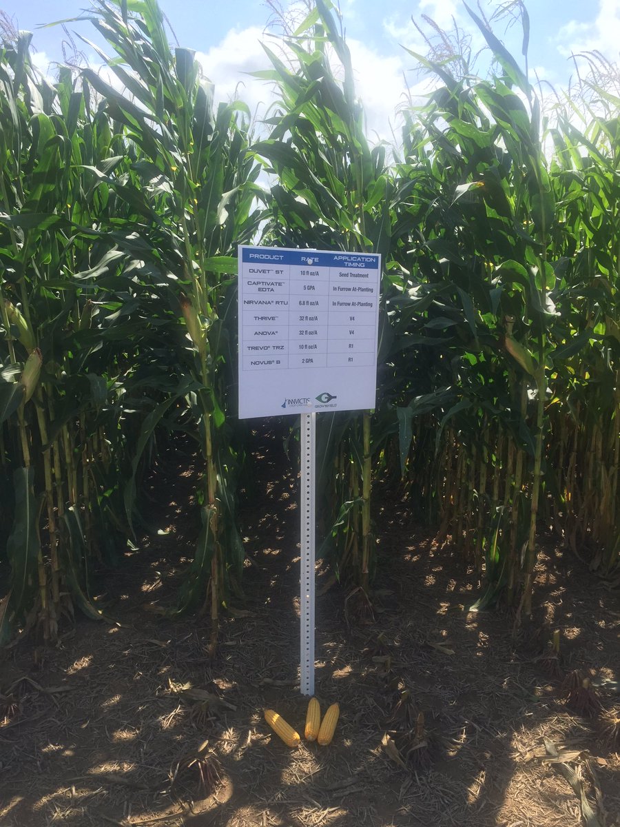 TreyWoods14's tweet photo. High yield Mission test plot on non irrigated corn in Kentucky. Very impressive! #Innvictis #GrowToYield https://t.co/1WylCv5xmP