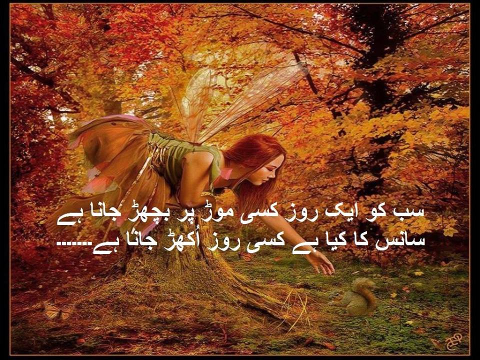 🌹گُل🌹 Gul🌹 tweet media