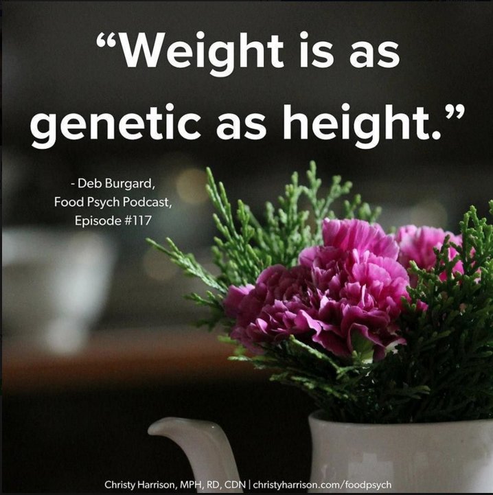 avalonhillsUT's tweet photo. #HealthAtEverySize #EndTheDietCulture #IntuitiveEating #EDRecovery #AvalonHillsUT #EatingDisorderSpecialists #TreatToOutcome https://t.co/IBgQrNxI4M