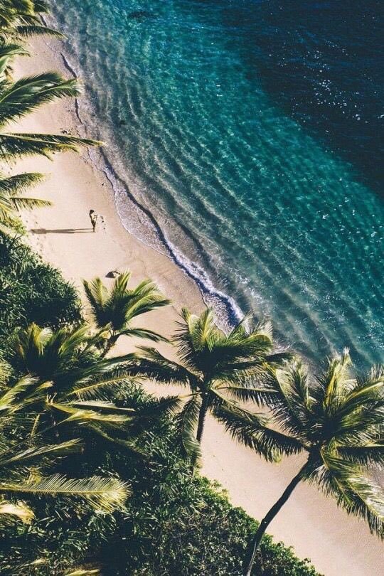 ButDansLaVie's tweet photo. ce dont j'ai besoin dans ma vie 😏🌊 https://t.co/KUPTJ8kNgk