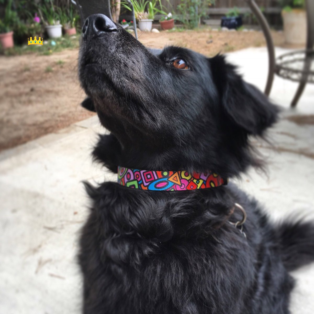 It's #nationalnonprofitday 
Shoutout to <a href="/portraitsofhope/">Portraits of Hope</a> for all they're doing w/ animal shelters. Join: Neon Nights #BHBold! #BHOpenLate