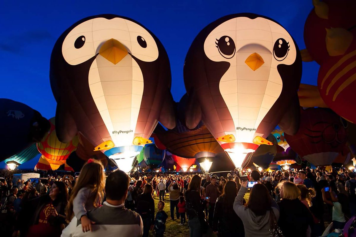 FlyPenguinUK's tweet photo. We are excited announce...we are going to be parents!! Our new arrival is due on Sept 14th @Longleat #SkySafari #XBallooning #GirlOrBoy https://t.co/P4zQ3jdGeg