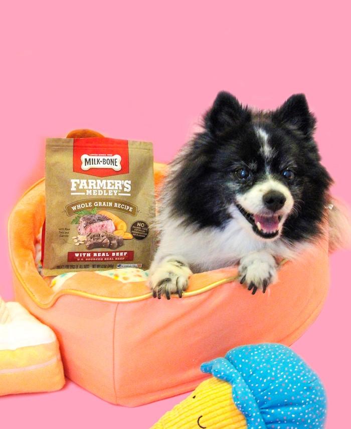 RandomRReviews's tweet image. Treat your dog with new, high quality Milk-Bone Farmer's Medley available @Walmart @MilkBone bit.ly/2uPHbDK #AD
