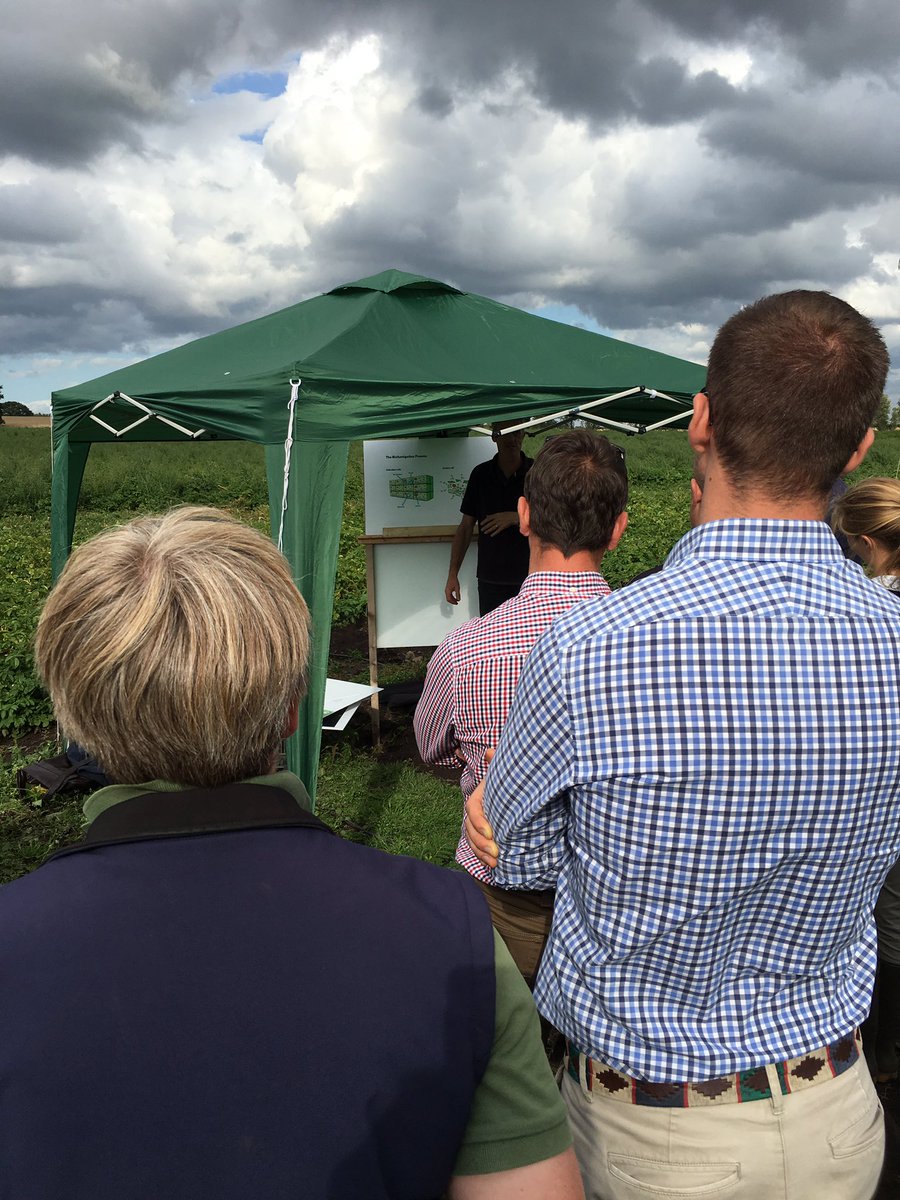 AHDB_Potatoes's tweet photo. Andy Barker talking #Biofumigants as part of a PCN management regime at #SPotFarm West. https://t.co/6YhEDtf0re