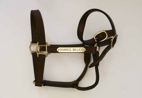 GloriousAllianc's tweet photo. Bid and share @SharedBelief 's halter for benefit of @SoCalTBRescue . Horse Photo by @BruinLisa  SB's always with us... #memories https://t.co/KSC6MMo2rt