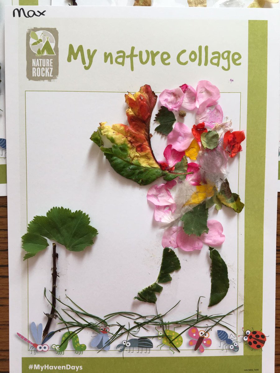 ActivateCamps's tweet photo. Some fantastic nature collages by our #ActivateMiniRangers at @sgweybridge. Such a great creativity shown by all. #ActivateCamps #Inspire https://t.co/7XBxW92rzh