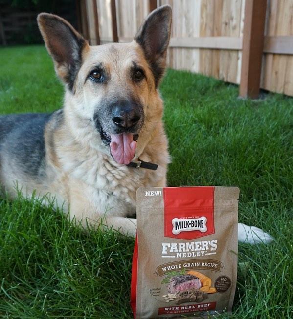 Stacy_Gent's tweet photo. Treat your dog with  high quality Milk-Bone Farmer's Medley treats from @Walmart @MilkBone https://t.co/9Yi5bomk5V #AD https://t.co/wIRWToRIf1