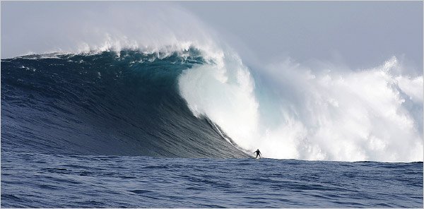 OneMe PBC. tweet media