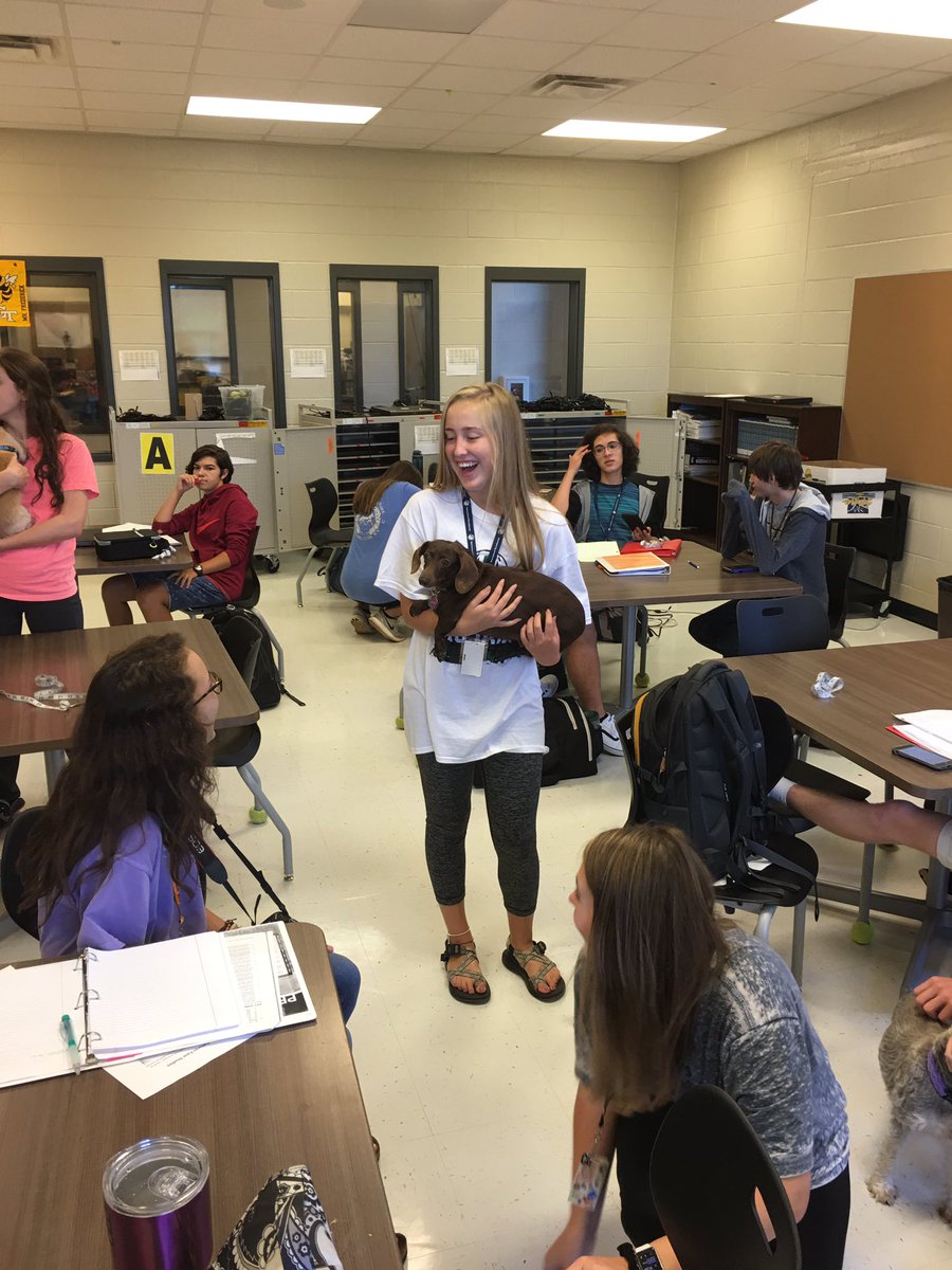 NTHEngineering's tweet photo. Engineering and IB design students working on ergonomic design for pets by taking anthropometric data of some special guests today. https://t.co/AuqrJzR21H