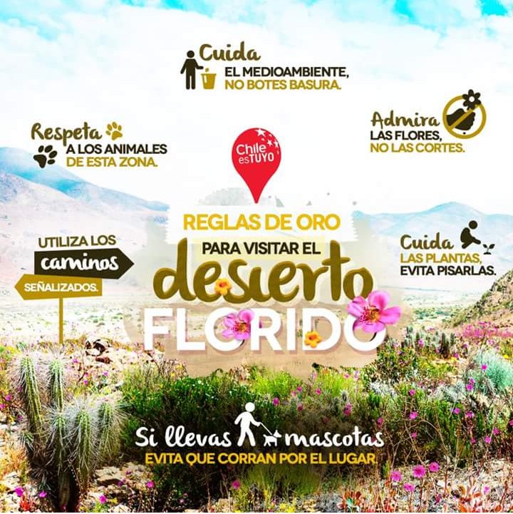 Sernatur's tweet photo. Para que tengas en cuenta si piensas viajar y disfrutar del #DesiertoFlorido👌 🌿🌾🌸🌼🌺 https://t.co/bRYkpN2G1x