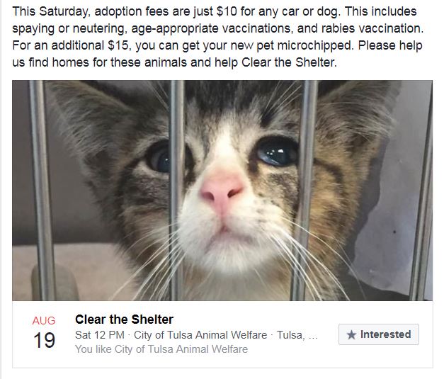 Mark your calendar for Saturday, when we "Clear the Shelter!"