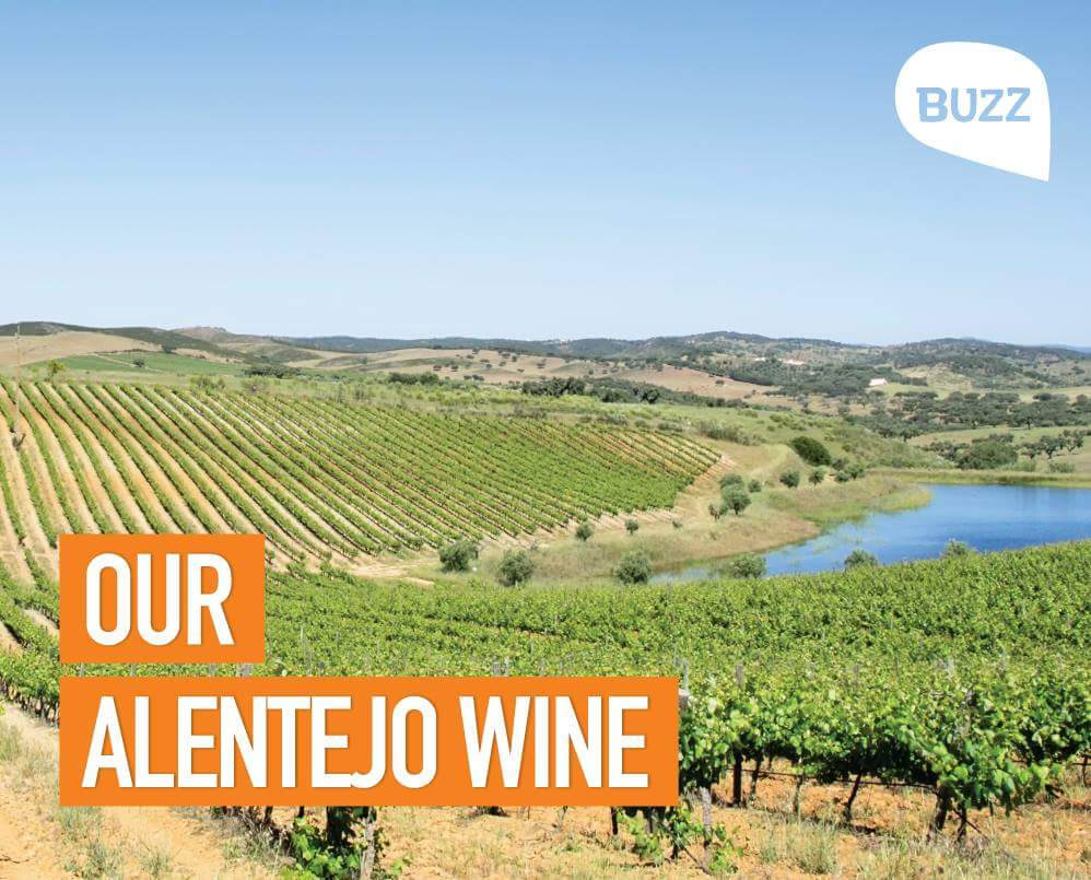 buzz_dmc's tweet photo. Good food, good wine, Alentejo provides it all.
#buzzdmc #ourportugal #alentejo #wine https://t.co/yUMIb2Qx93