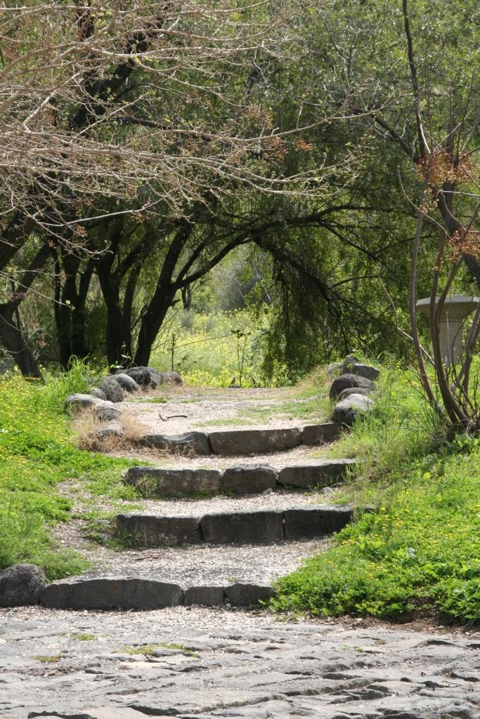 TOAleaders's tweet image. Have you seen our latest news? conta.cc/2v31f57