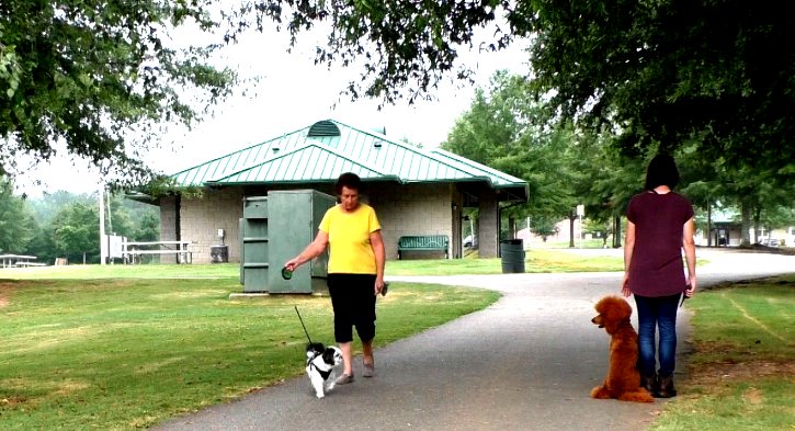 SitUpNListen's tweet image. I can sit still...I can sit still...
youtube.com/watch?v=3N9E00…

#Atlanta #dogtraining #poodle #puppy #puppies #puppylove #Training #Smile