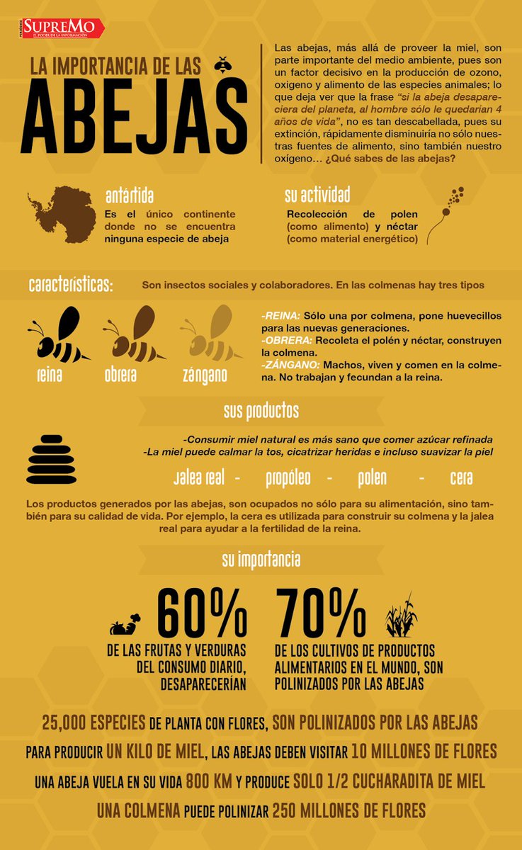 Hoy es el #DíaDeLasAbejas fundamentales para conservar la #biodiversidad del planeta #MedioAmbiente
