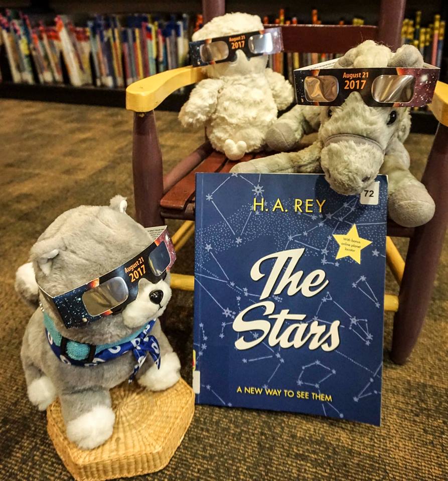 Stuffed animals wearing solar glasses.