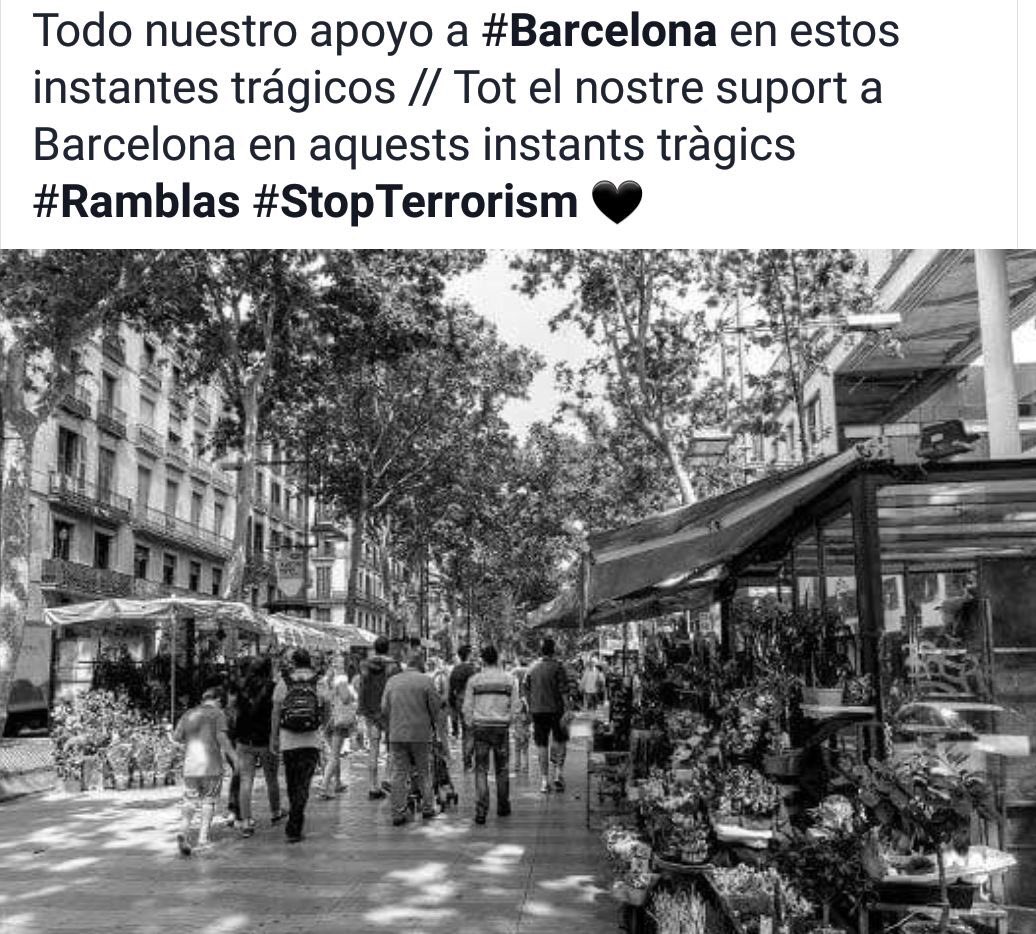 Pádel Torres (@padeltorres) on Twitter photo 