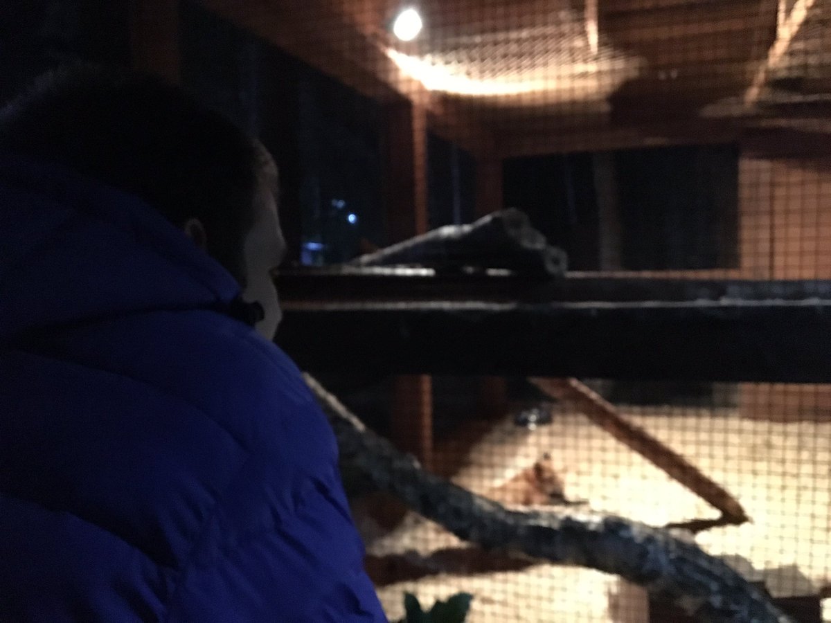 DaryDaryz's tweet photo. Влюблена в ночные прогулки. И где-то там должна быть запятая https://t.co/SCw0YDu4mU