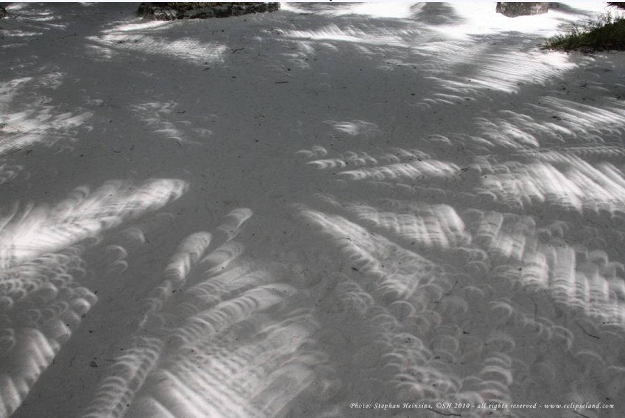 OHMovement's tweet photo. Solar Eclipse Tip:Don’t forget to look around you.Natural pinholes are found when light filters through overlapping leaves #solareclipse2017 https://t.co/s3Q6ux9XQl