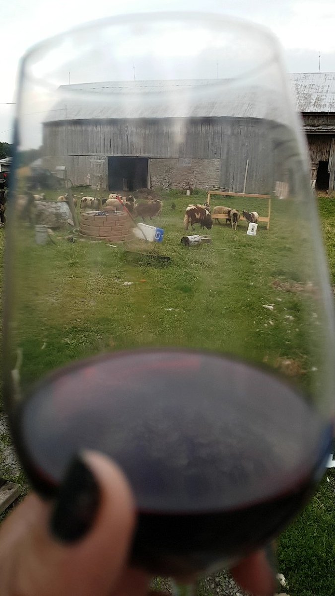 NesFarm's tweet photo. The puppies needed to be taken out for a pee, might as well sit a spell and enjoy the view.
#OntLamb #JacobSheep #OntWool #OntWines #Peele https://t.co/H3GLle10y4
