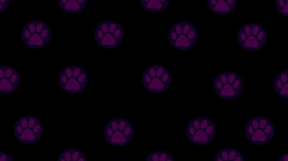 freyaduck22 (@freyaduck17181) on Twitter photo 