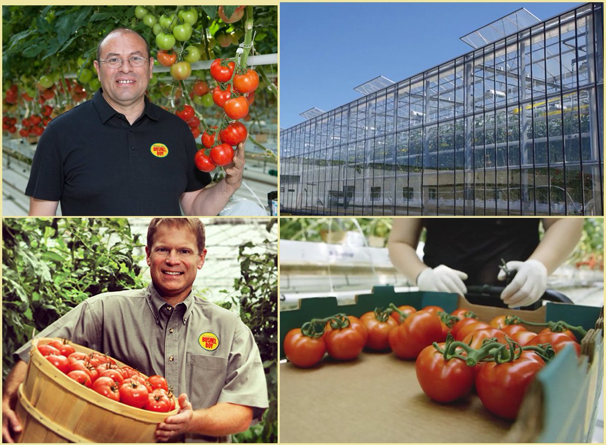 We were founded in 1990 with a desire to grow fresh, vine-ripened tomatoes year-round! Learn more in this article: strib.mn/2uKhjNG