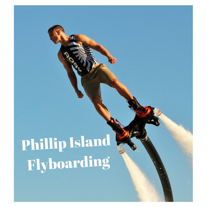 ReadyFundGo's tweet image. We are looking to create a Unique Aquatic experience in Phillip Island and need your help! readyfundgo.com/s/le1 #readyfundgo @owenbentley