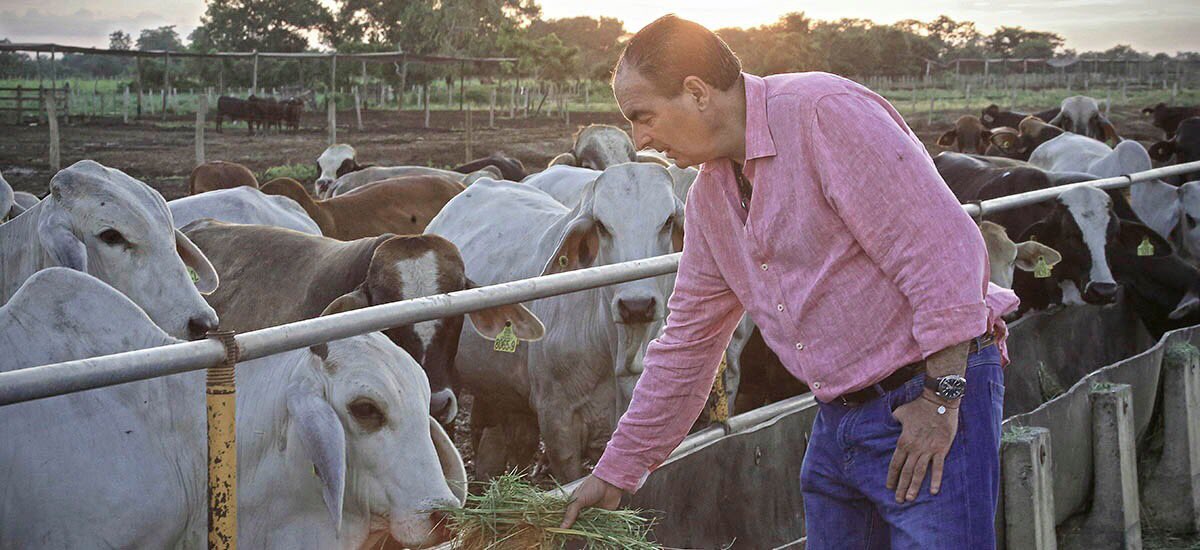 Culminado sacrificio y enterramiento sanitario d animales <a href="/ICACOLOMBIA/">ICA Colombia</a> confirma conclusión de casos activos d aftosa bit.ly/2i9Wd5D