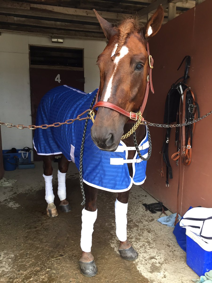 Hän juoksi tänään itsensä hienosti toiseksi ja Derby finaaliin ❤️ Fiilis on mahtava! #pelkkäärakkautta