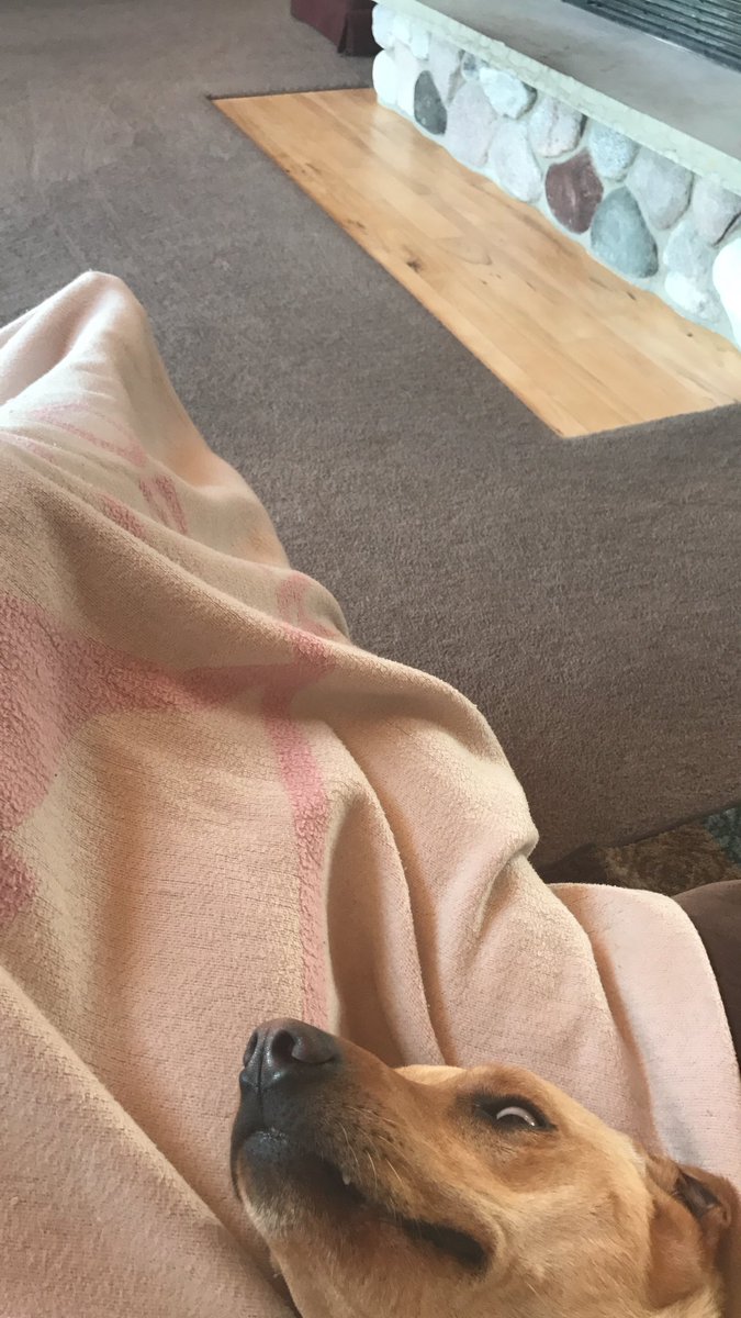 anna_tenhaken's tweet photo. Open for a surprise https://t.co/CJDGeCU31T