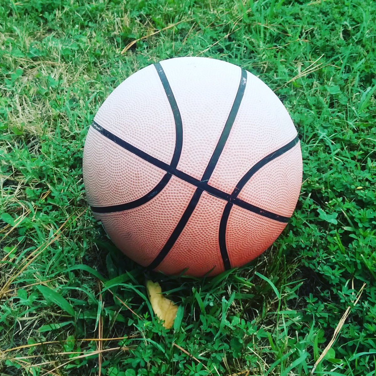 Girl Perfect tweet media