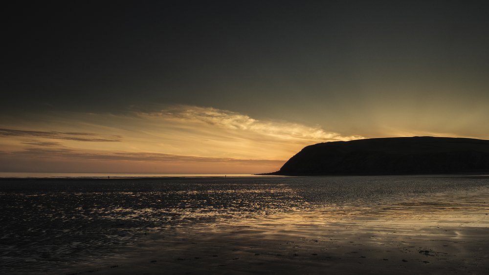 Carmen Norman tweet media