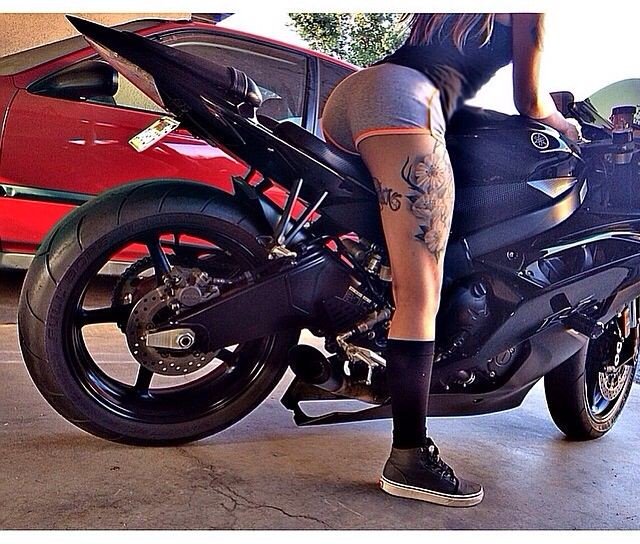 Castelo#Timbeta#SDV (@castelosilvio) on Twitter photo 