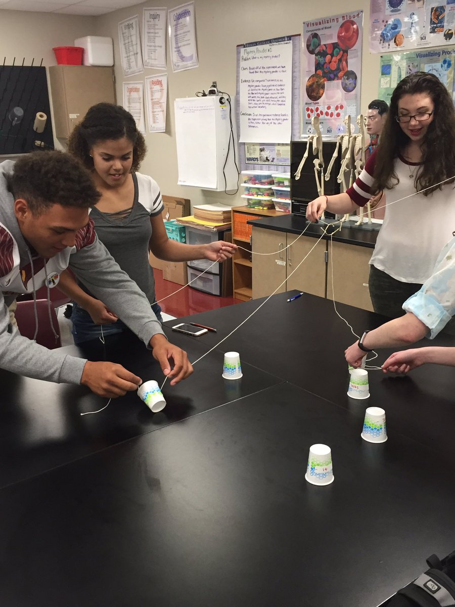 CKnappTonka's tweet photo. Stacking cups in College Biology. #teamworkmakesthedreamwork teamworkmakes https://t.co/MXi9PB7lgO