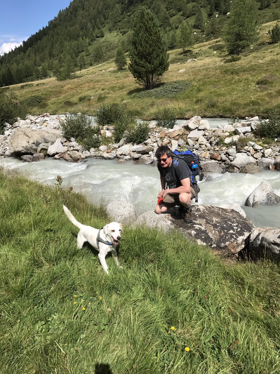 Fiorenzo Galli (@fmgalli) on Twitter photo 