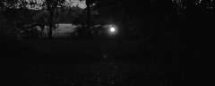 Ap96_Official's tweet photo. #julienboss #youtube #juliensblog #pasportsdiss #music #rap #deutsch
https://t.co/HzrRbx3JlF https://t.co/QYiaKdM5rQ