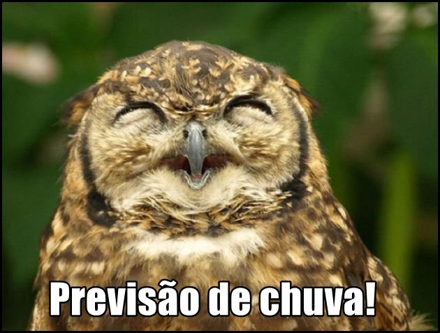 ITPA_ITPA's tweet photo. OS BRIGADISTAS DO ITPA AGRADECEM! 

E a natureza também! Vocês estão de olho na campanha TODOS CONTRA AS QUEIMADAS? https://t.co/XHN5eV59rc https://t.co/T1Gl06kVZz