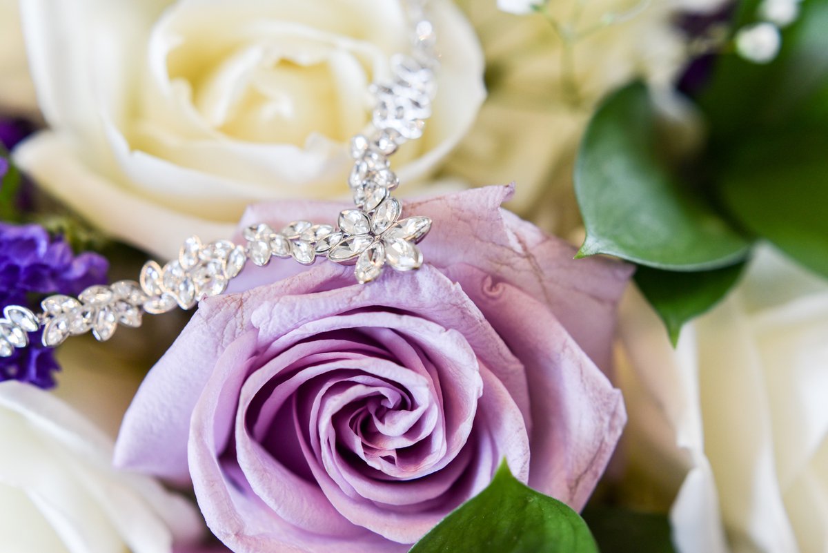 All Digital Photo tweet media