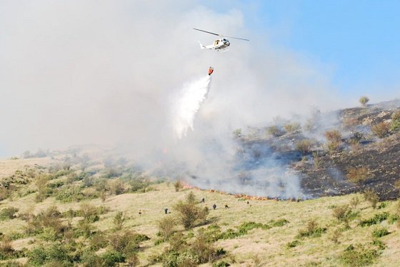 TheTRCP's tweet image. 2017 has been a particularly bad year for wildfires, but it may also be the year for the long awaited #FireFix. bit.ly/2vGPfts