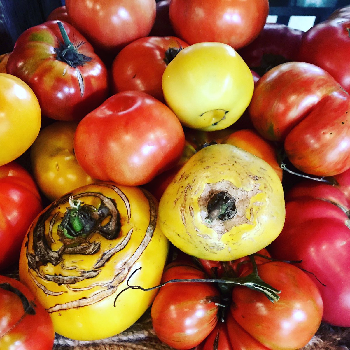 WalbridgeMarket's tweet photo. https://t.co/VrdMU4yXI6