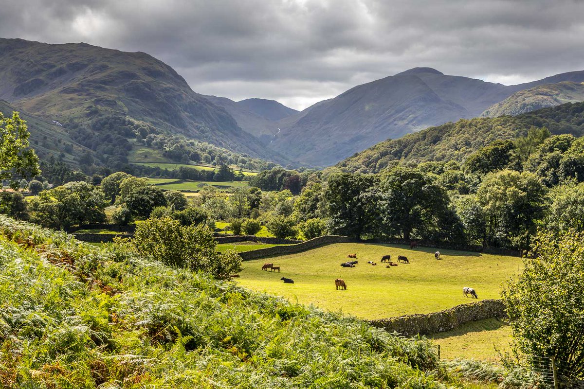andrewswalks's tweet photo. Photos of a heavenly walk up Great Crag today @LakeDistrictPR https://t.co/MU3GeDB6jb