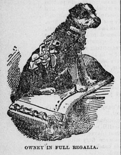 librarycongress's tweet photo. Every dog has his day, and this is #NationalDogDay! Read about Owney the Railway Mail Dog #ChronAm https://t.co/oZ9AIR1WIp https://t.co/6kXfmzajwe
