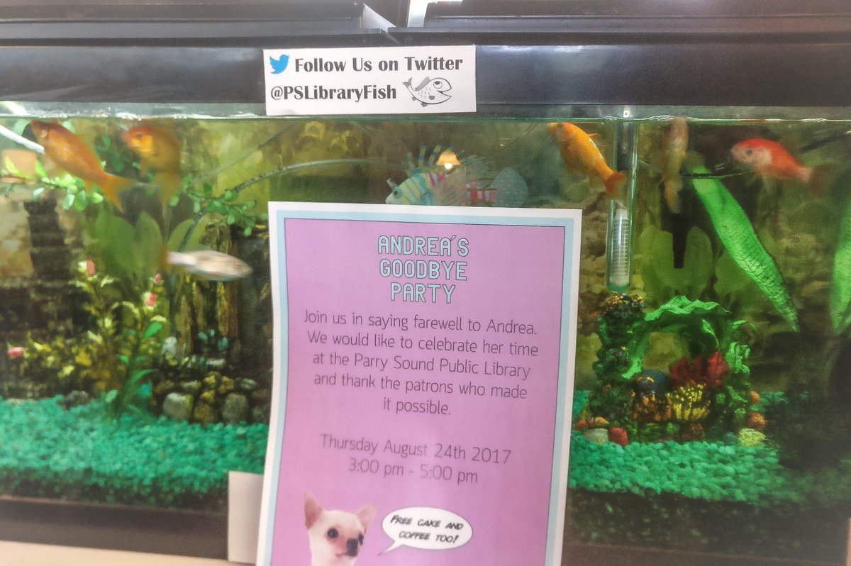pslibraryfish's tweet image. Join us for free cake and coffee on Thurs. August 24 3-5pm as we celebrate the boss of the humans before she leaves. "Andrea", apparently.